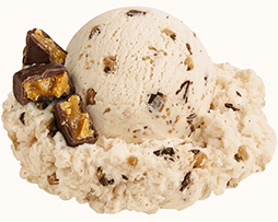 Pierre's Ice Cream Choose a Product